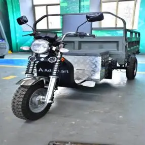 3 Wheeler ev