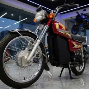 Ranzo EV Bike