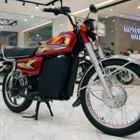Ranzo EV Bike